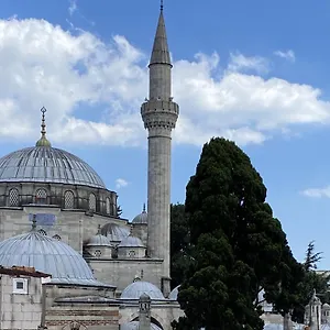 Zeyn トルコ